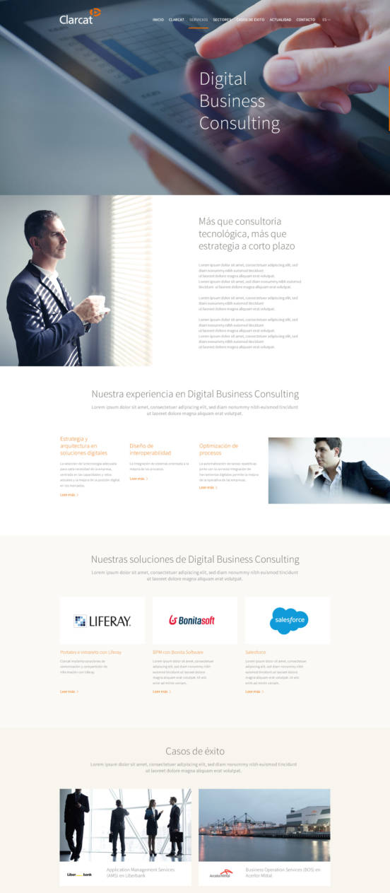 clarcat_21_DETALLE_AREA_SERVICIO_DIGITAL_BUSINESS_CONSULTING_b